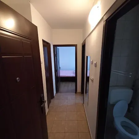 Gorjului Apartment