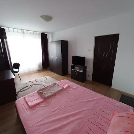 Gorjului Apartment *